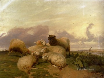 トーマス・シドニー・クーパー Painting - カンタベリー ウォーター メドウズの羊 家畜 トーマス シドニー クーパー